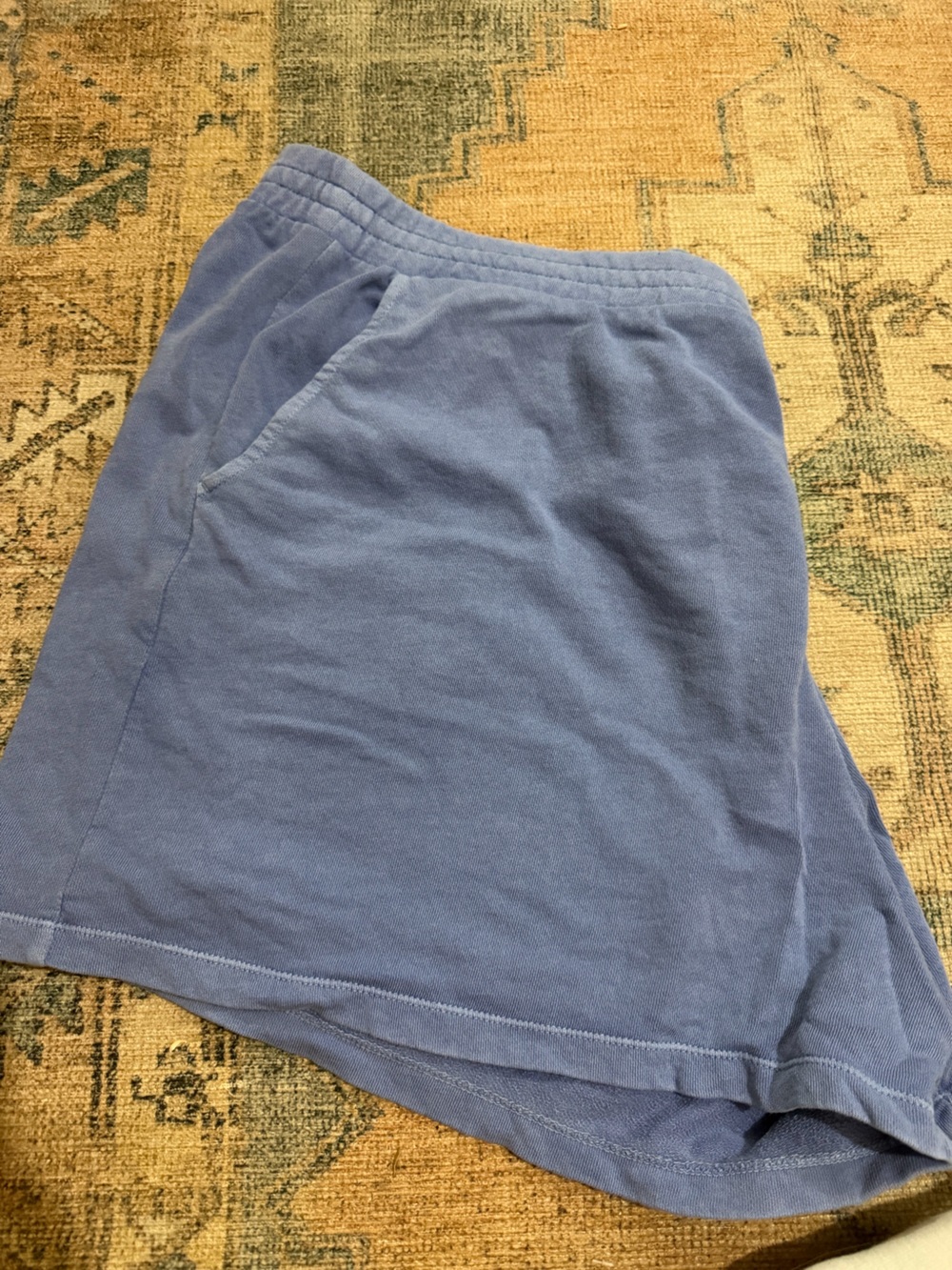 Old Navy Light Blue Sweat shorts